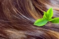 Ce este tratamentul de păr cu ulei?