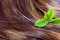 Ce este tratamentul de păr cu ulei?